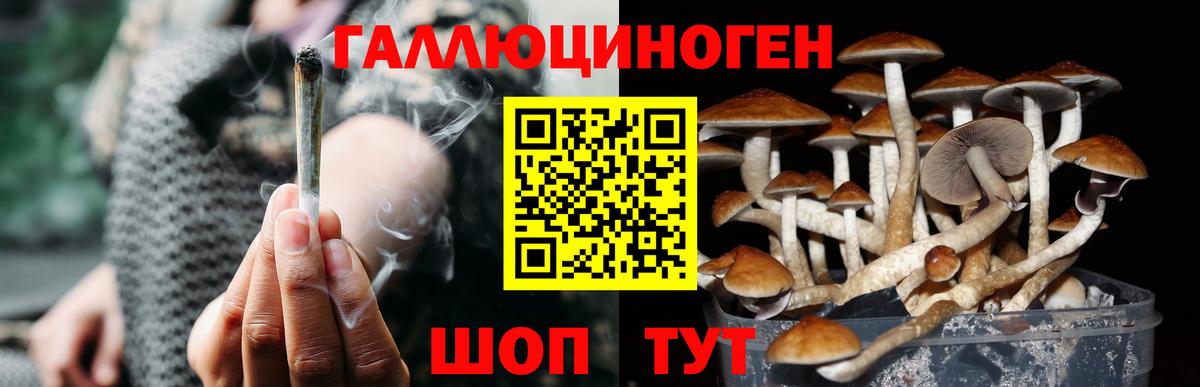 Псилоцибиновые грибы Psilocybine cubensis  Вход с VPN  Когалым 